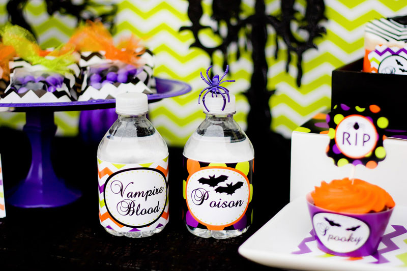 water-bottle-wrap-spider