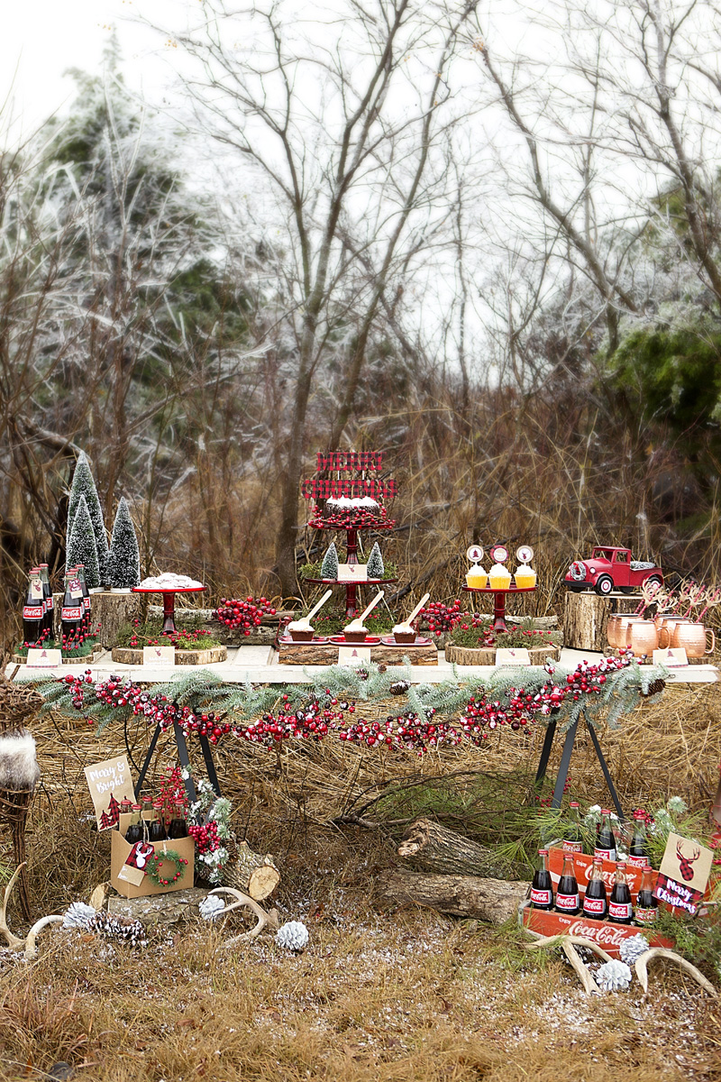 Rustic-Christmas-Party